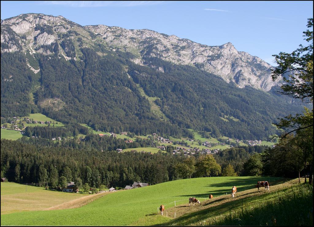 Appartement Kalssnhof à Bad Aussee Extérieur photo